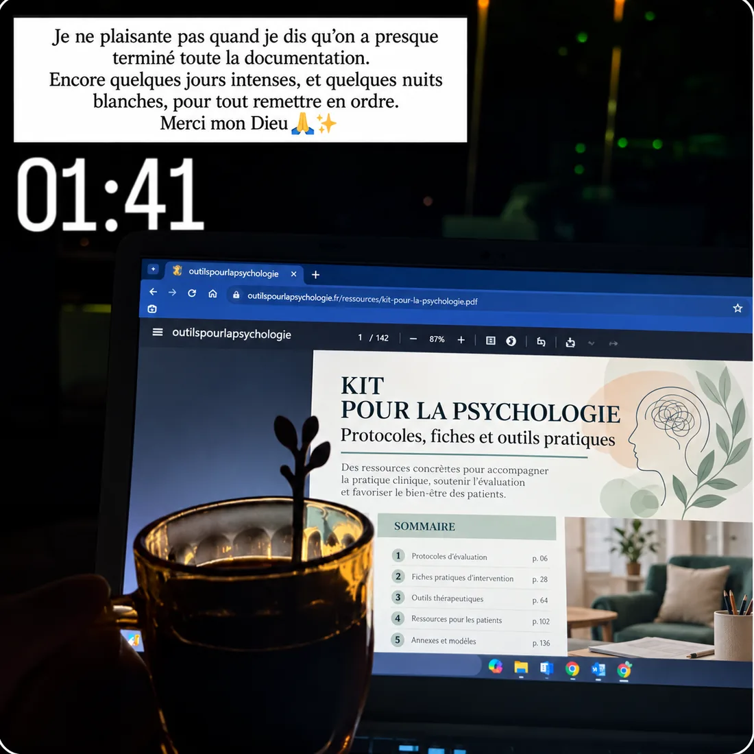 Message d'une acheteuse à 1 h 41 : elle a presque terminé toute la documentation